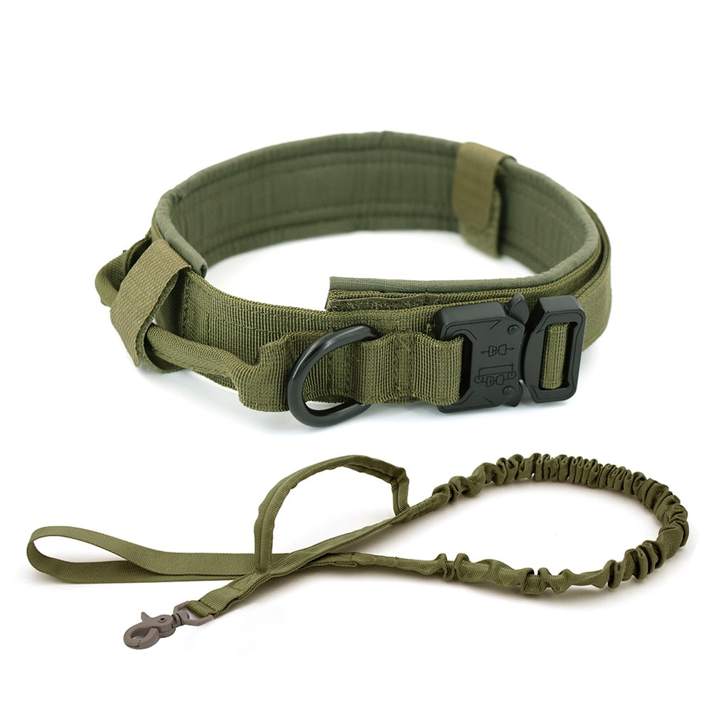 Collier de chien