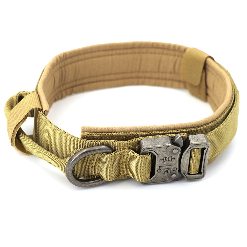 Collier de chien