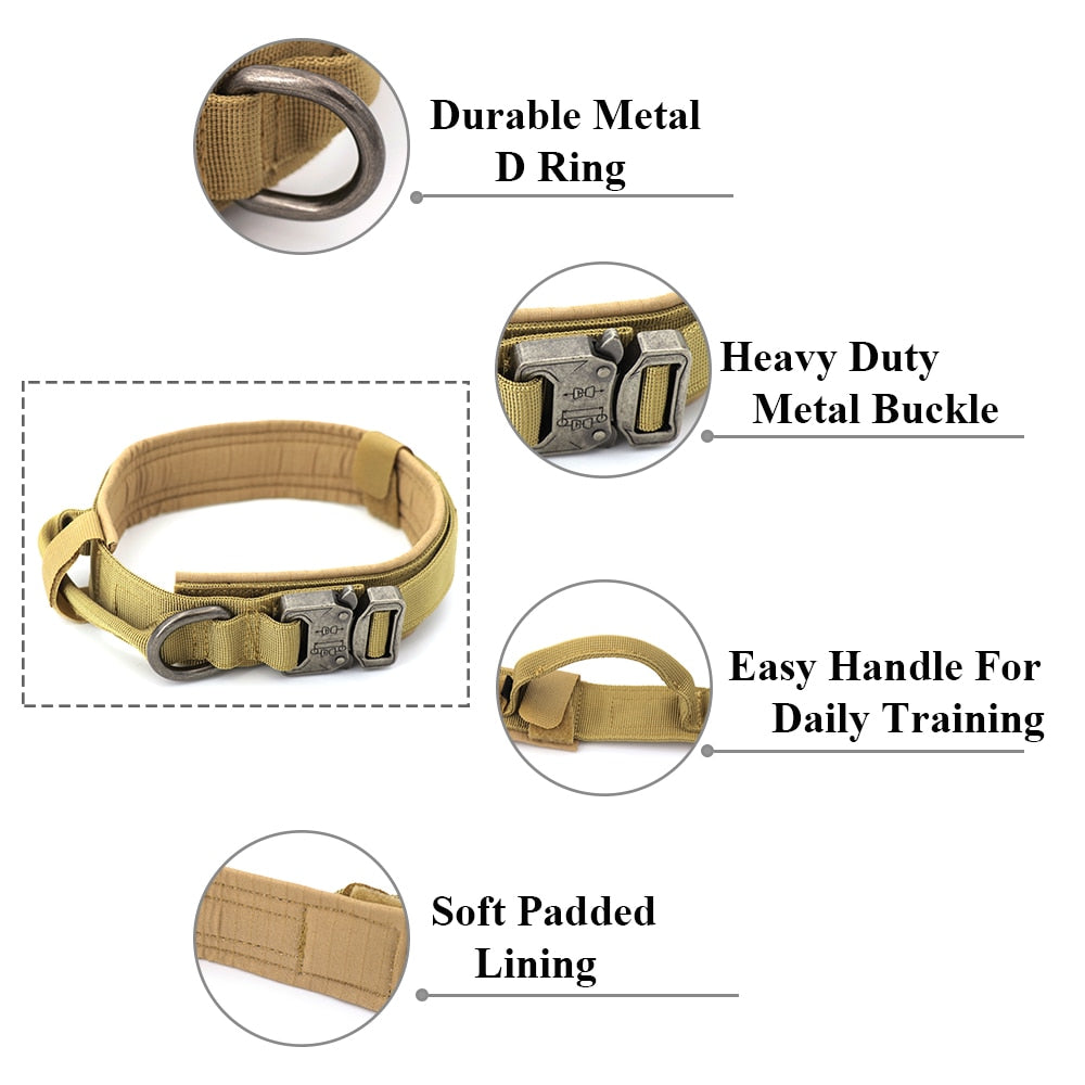 Collier de chien