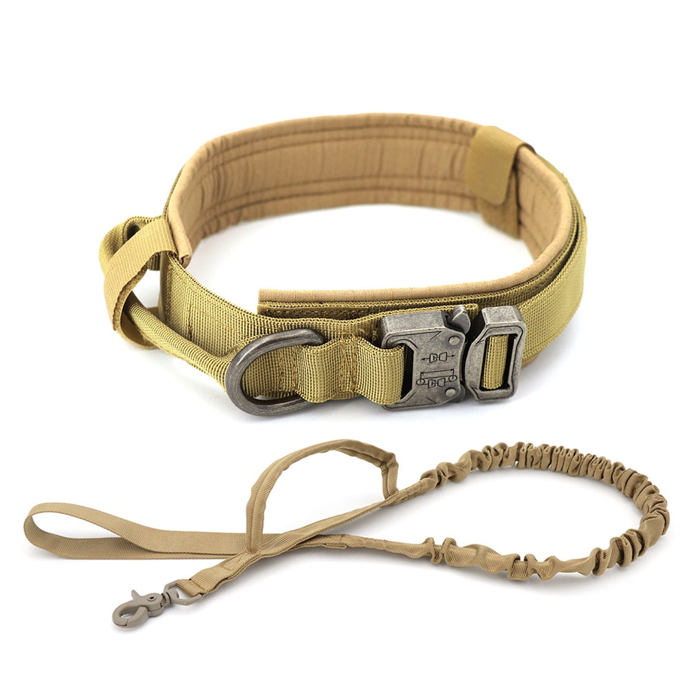 Collier de chien