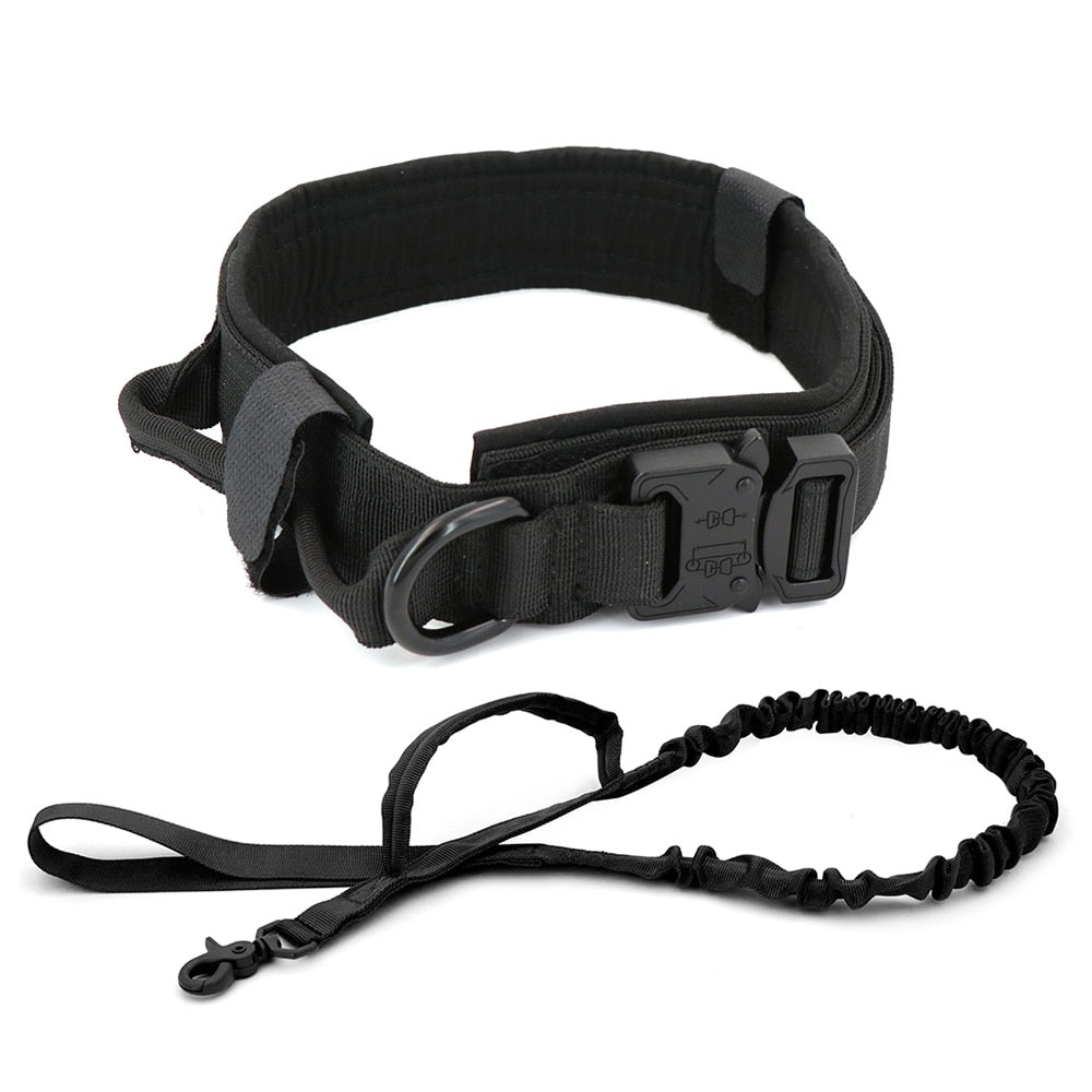 Collier de chien